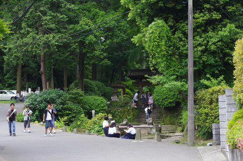 IMGP3731.JPG