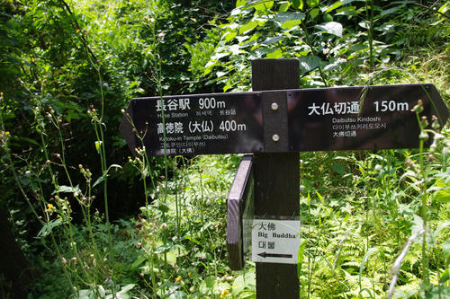 IMGP3801.JPG