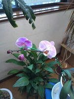 事務員のひとりごと