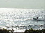 DSCF1405cut.jpg