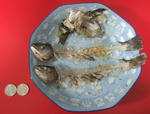 DSCF1457.JPG