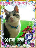 2007お年賀（7.2kb）