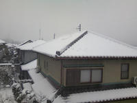 TS3B0015.JPG