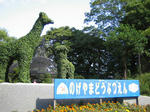 2007102803.jpg