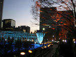 2008010101.jpg