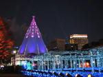 2008010102.jpg