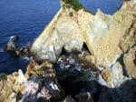 2008022910.jpg