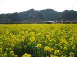 2008030703.jpg