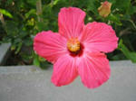 2008050416.jpg