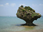 2008050603.jpg