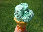 2008050609.jpg