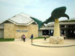 2008050703.jpg