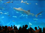2008050705.jpg