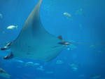 2008050706.jpg