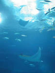 2008050707.jpg
