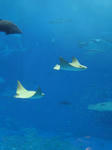 2008050708.jpg