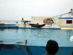 2008050709.jpg