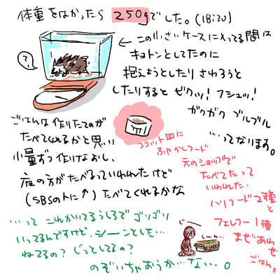 09021703.jpg