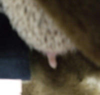 005-3.jpg