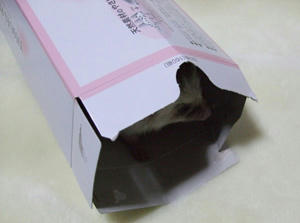 014-2.jpg