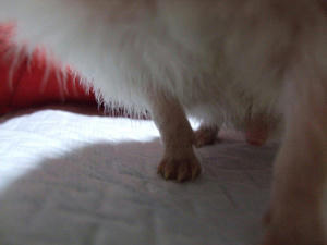 046-5.jpg