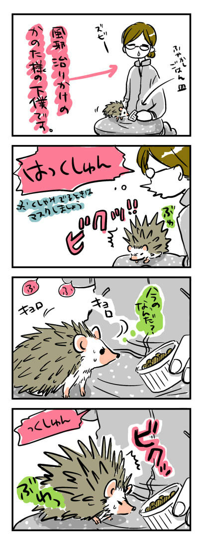 kano.jpg