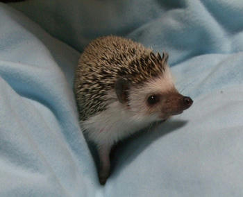 340-54.jpg