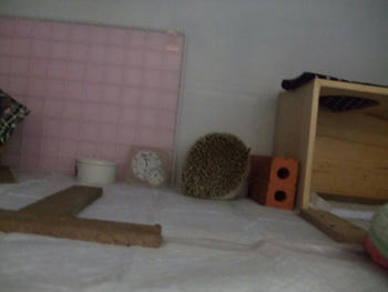 120528-32.jpg