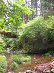 IMG_1884.JPG
