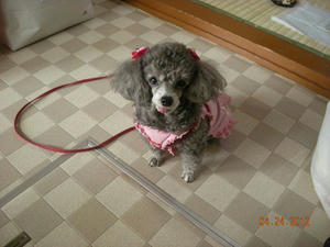 2012.04.24.jpg