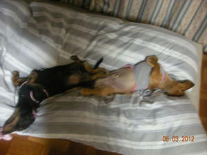 2012.05.03.jpg