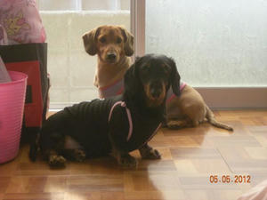 2012.05.05.jpg