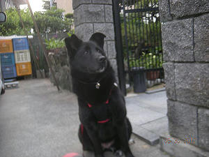 2012.05.30.jpg