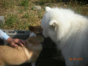 2012.06.06.jpg
