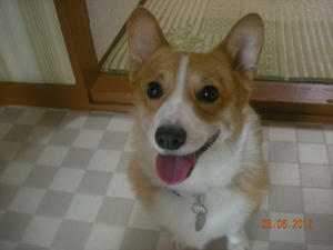 2012.06.06-2.jpg