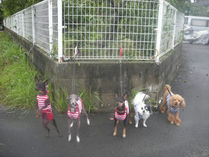 2012.06.24.jpg