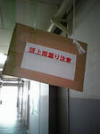 amamori