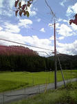 田舎２