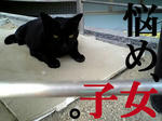 猫師匠のつぶやき