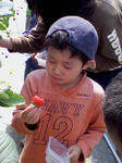 abf36758.jpg