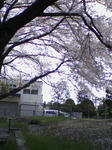 00f388d3.jpg