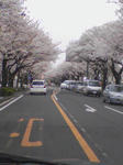 c9c57134.jpg