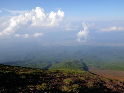 IMGP0208.jpg