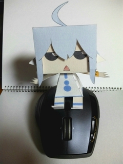 SBSH0313.jpg