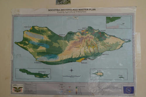 P1010123.jpg