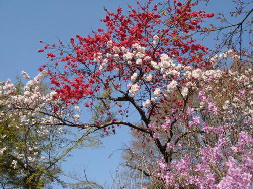 DSC03022.JPG
