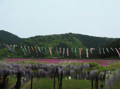 4-fuzi.jpg