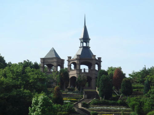 2009bara4.jpg