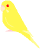 seki-ruti.gif