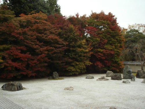 20091116kouyou1.jpg
